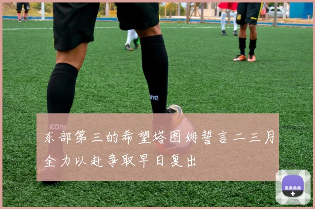 东部第三的希望塔图姆誓言二三月全力以赴争取早日复出