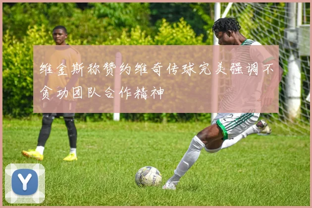 维金斯称赞约维奇传球完美强调不贪功团队合作精神