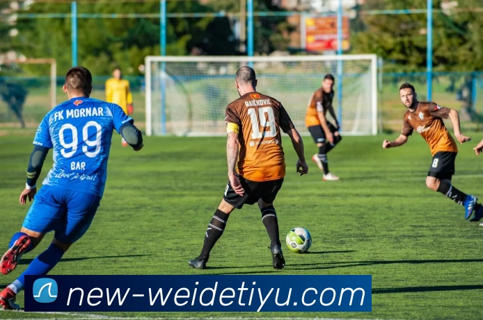 伟德体育平台生态图